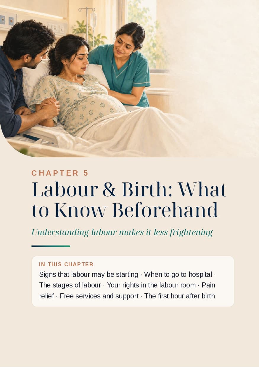 Title: Your Pregnancy Journey, Step by Step